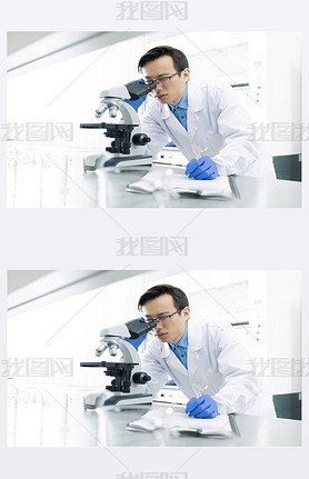 Asian medical scientist wearing white coat examining specimen using microscope, horizontal portrait