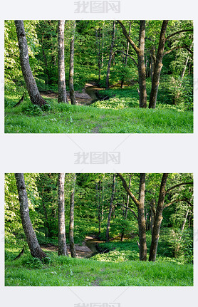 The view from the hill on a winding stream among the forest. Repinka river in Obninsk, Russia