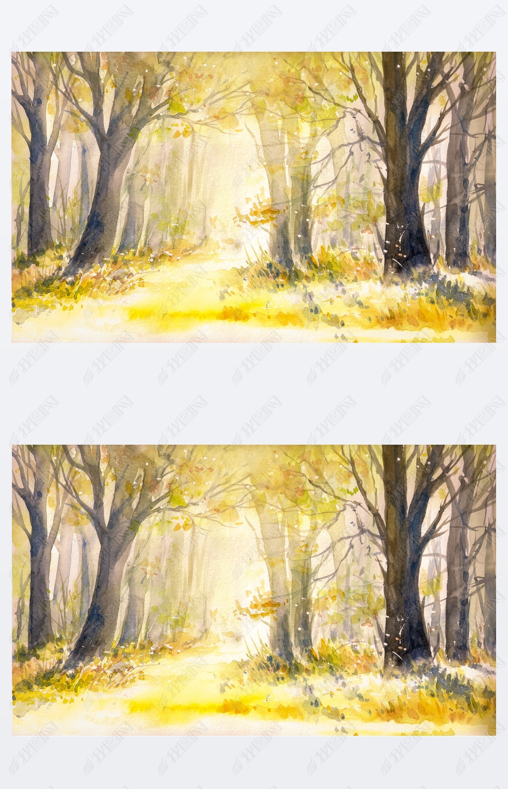 原创森林水彩画画