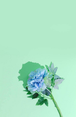 {ɫĻСOӋˮ˵ɫoĸ