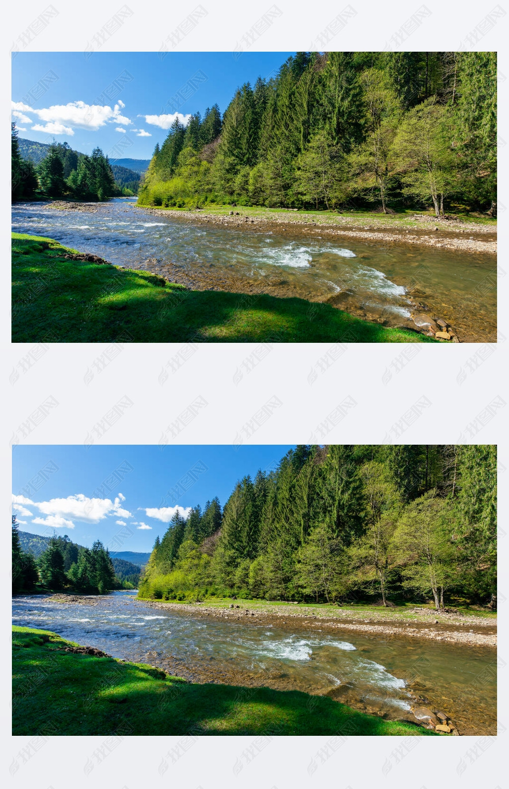 山中森林中的河流风景春天美丽的高山风景synevyr国家公园是乌克兰喀