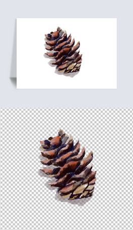 ɹ