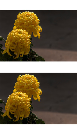 ɶSɫջ