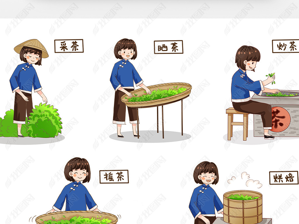 原创蓝色卡通女孩晒茶制作过程插画版权可商用