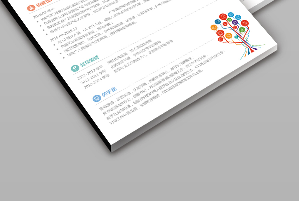 电商运营专员蓝色简约求职简历