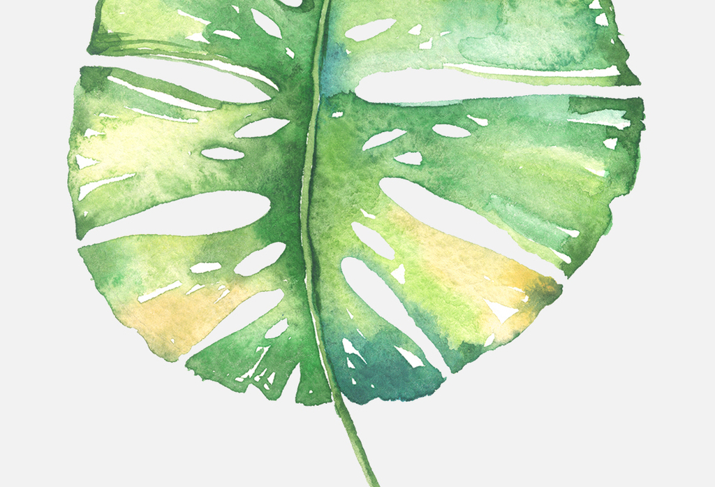 水彩手绘花卉花朵植物卡片邀请函PN.图片设计