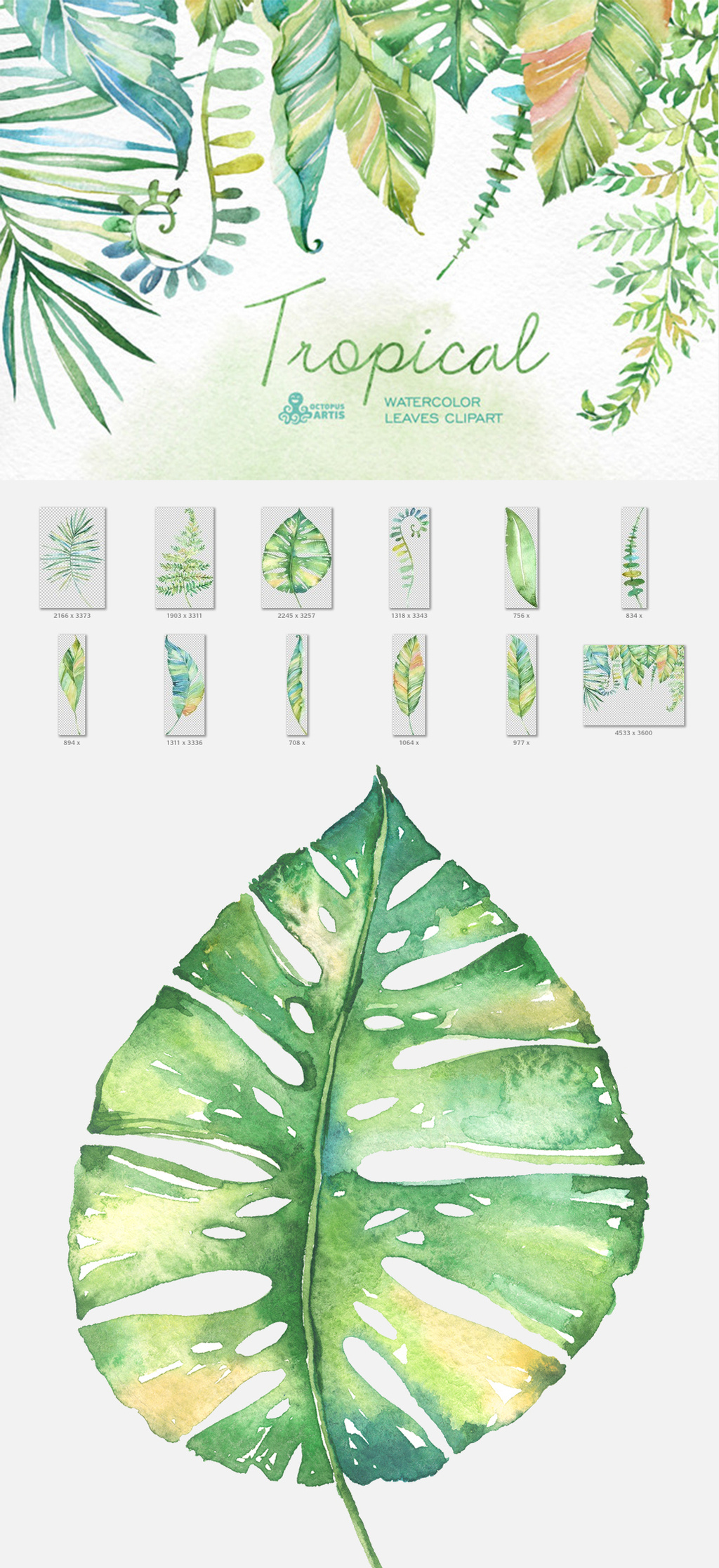 水彩手绘花卉花朵植物卡片邀请函PN.图片设计