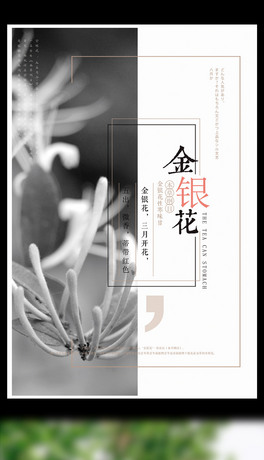 rнyݱˎN