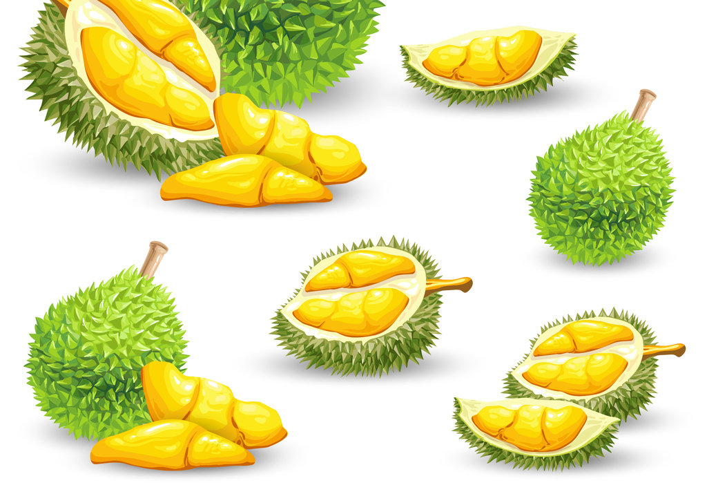 榴莲矢量插画设计元素图片素材_高清AI模板下