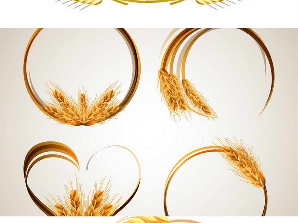 象麦穗圆形边框秋天的麦穗小麦素材图片设计_