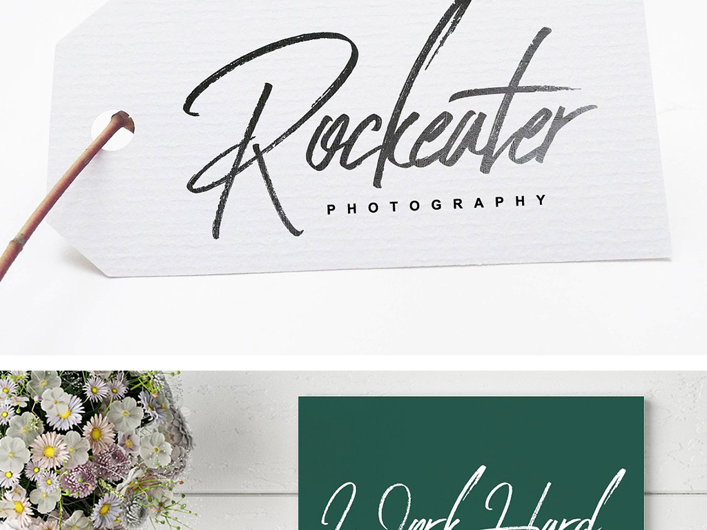 唯美艺术风格国外英文签名字体设计图片素材_高清AI模板下载(17.06MB)QQ1E60BB2CFE9D8分享_字体大全