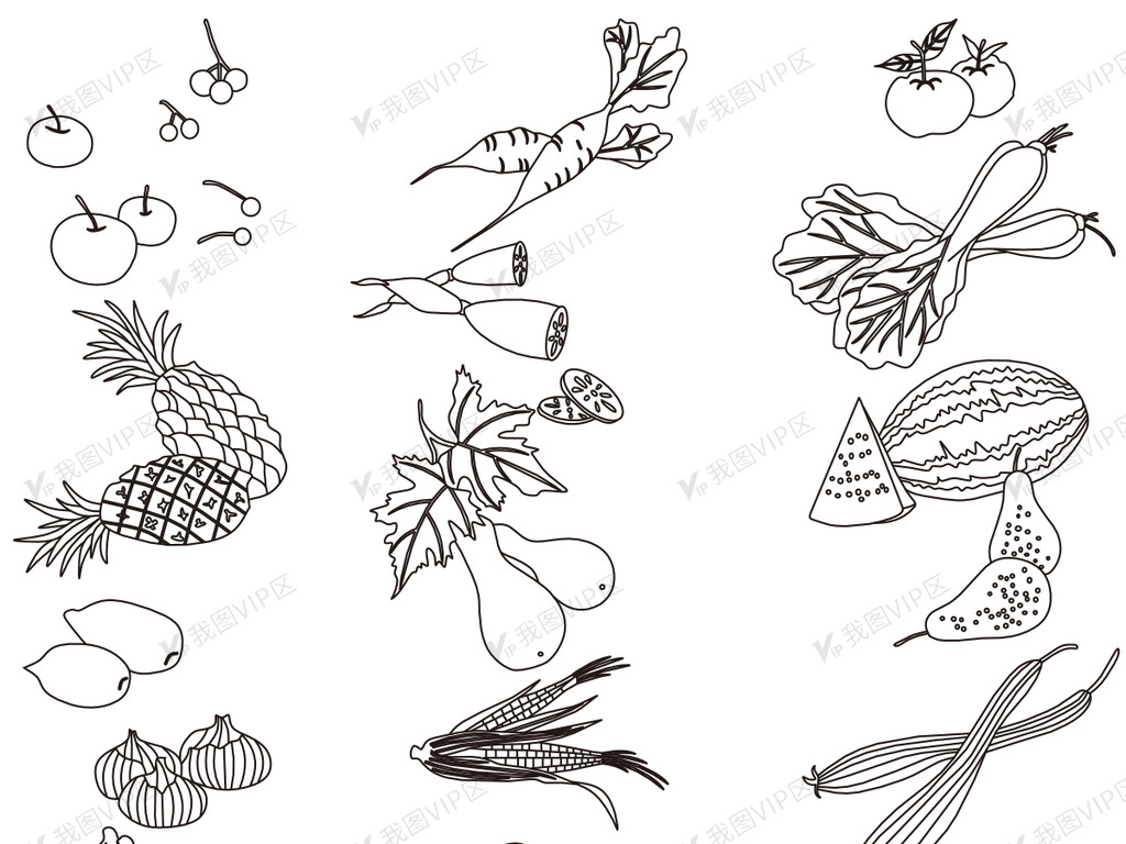 2017中式复古白描蔬菜瓜果装饰画矢量素材