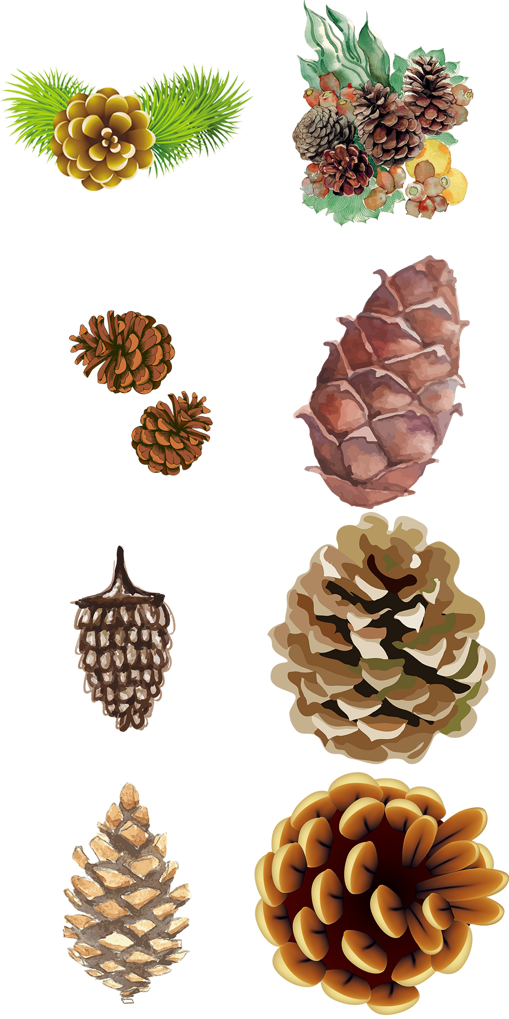 卡通褐色松树松果png图片素材