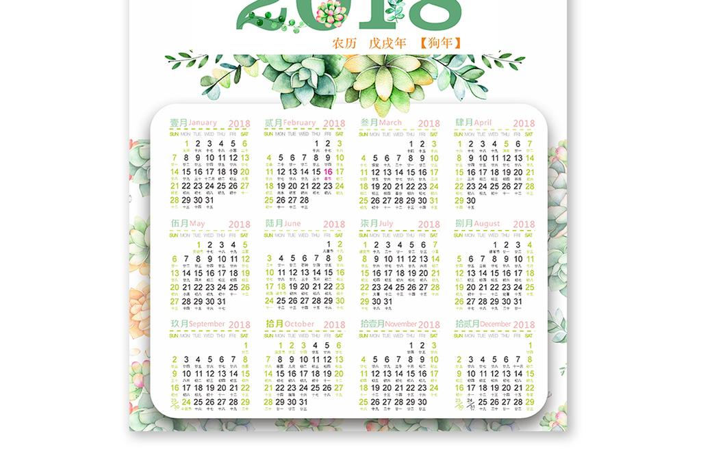 2018年狗年多肉植物清新海报日历图片设计素