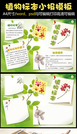 植物标本的原理是什么_植物标本(2)