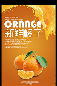 时尚清新水果橘子海报版权可商用