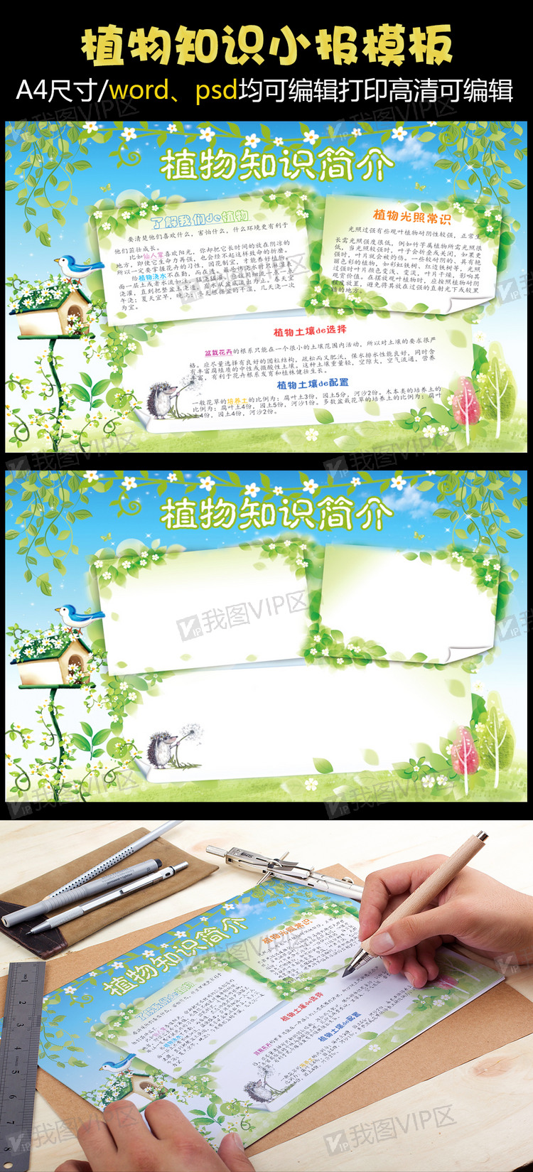 植物知识简介小报保护植物电子手抄报