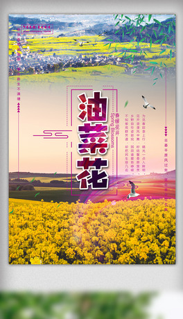 ´ů_Ͳ˻