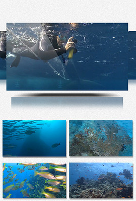 270x400a0a0
