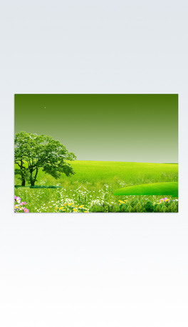 Gɫչ庣󱳾O(sh)Ӌ2