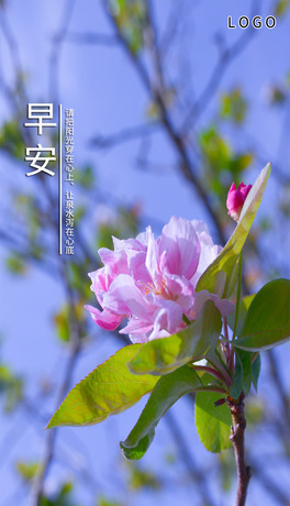ꖹ簲