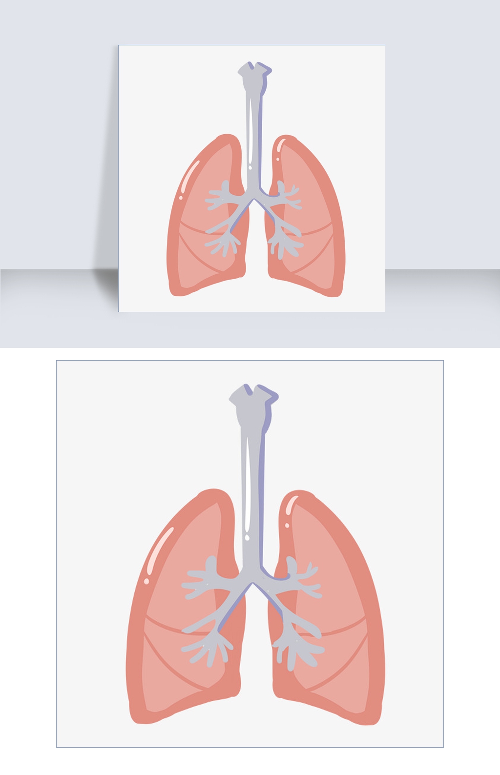 如何简单画人体器官 27666908_466b940701af652281fa1f7268664c52.jpg