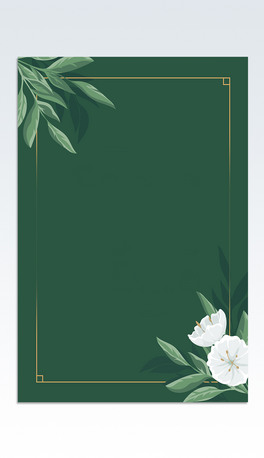 Ո׼y80