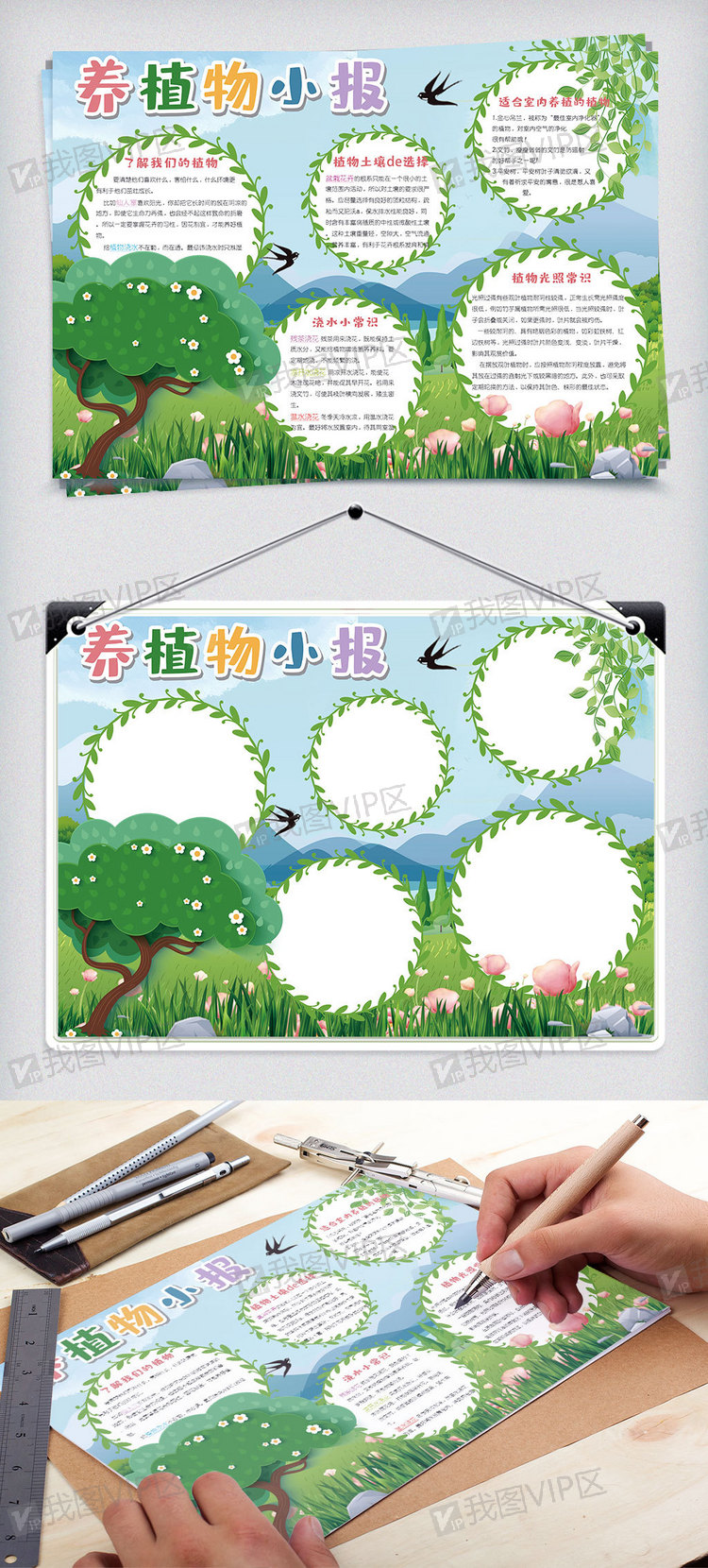 绿色清新养植物小报手抄报通用电子模板图片素材(psd)