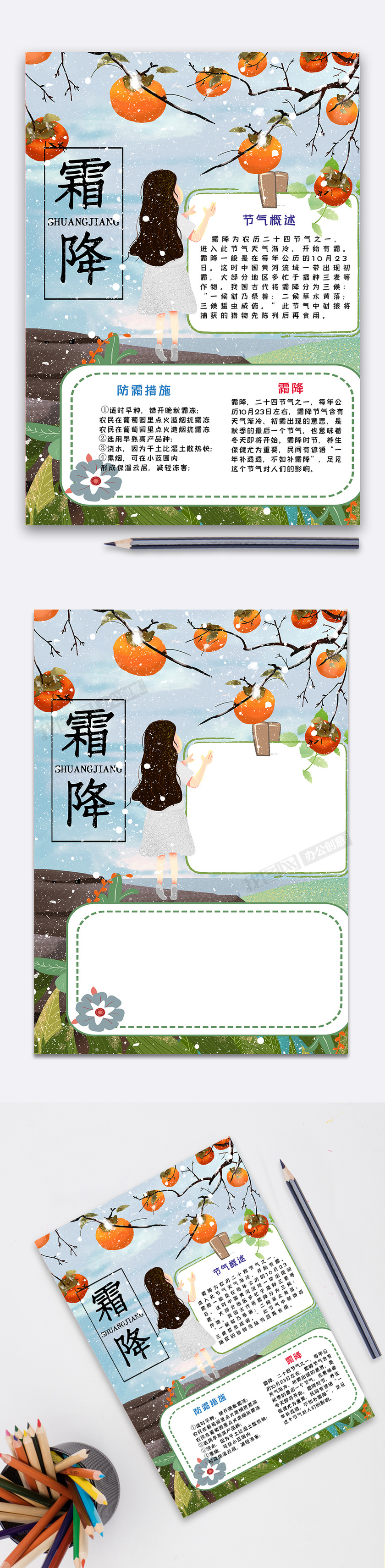雪花柿子霜降手抄报
