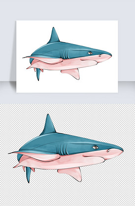 鲨鱼手绘插画设计元素