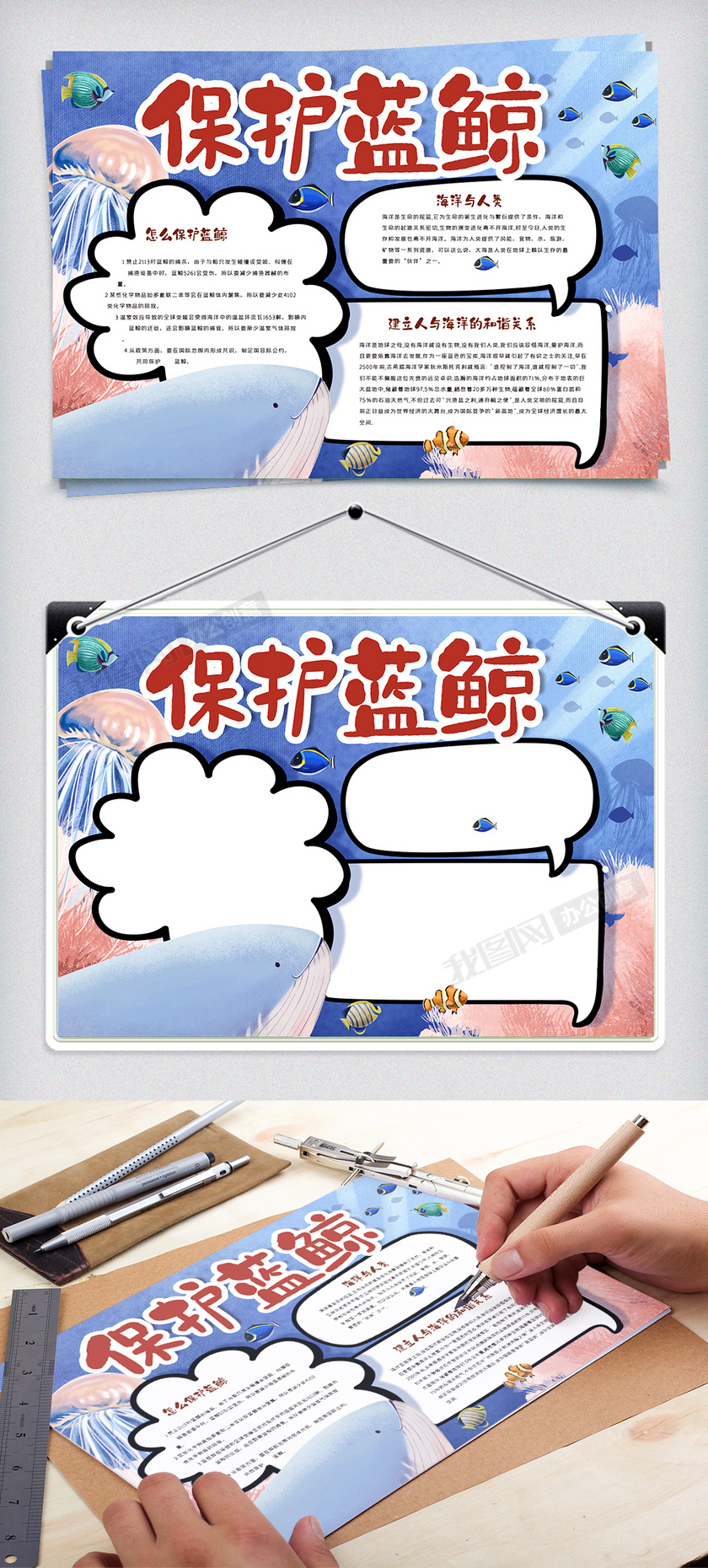保护蓝鲸手抄报模版下载-(手抄报图片模板编号)-我
