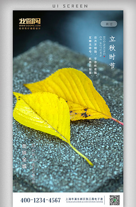 现代立秋秋天早安励志日签新媒体海报