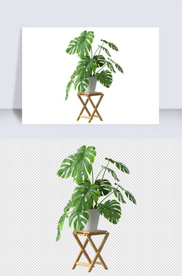 Ҿc4dԪ