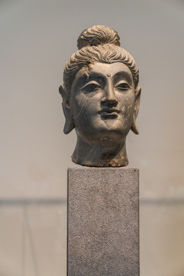 ȱRmչƷ