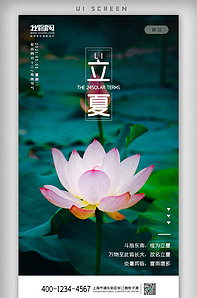 2021创意简约二十四节气立夏时节版权可商用
