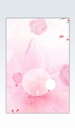 ݻy󱳾24