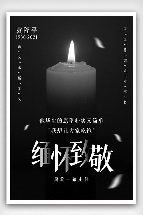 国之栋梁袁隆平逝世悼念公益海报