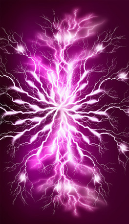 W늘(bio)־W늷̖W늈D(bio)Wز