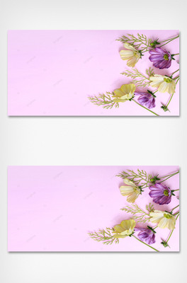 ܷɫD