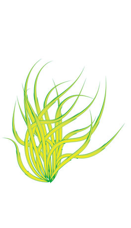 庣赸hСˮݺ2