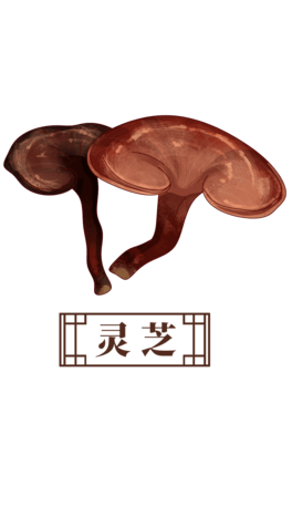 `֥