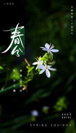 ԭ(chung)ִ24(ji)⺣(bo)y(tng)(ji)պ(bo)