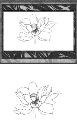 ɻܲ宋Ԫ(11)