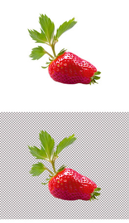 ݮtrˮʳ⓸Ԫ(1)