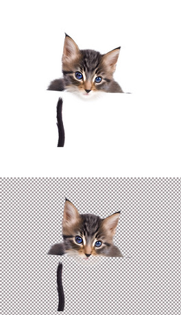 ɐ۵С؈⓸Ԫ(10)