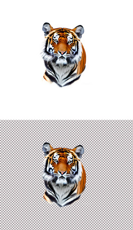 ϻfF֮^DƬ⓸(4)