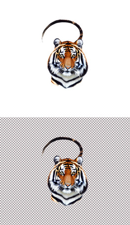 ϻfF֮^DƬ⓸(7)