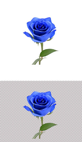 {(ln)õ{(ln)ɫ520黨˹(ji)r(5)
