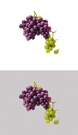 ˮʳ(sh)ֲ(1)