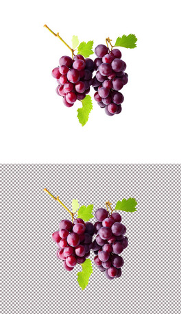 ˮʳֲ(6)